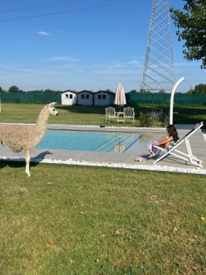 Villa Iris
